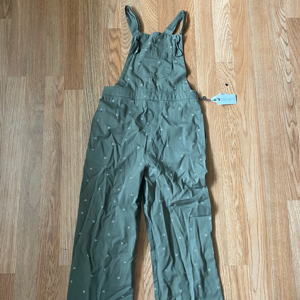 Little girl overalls
